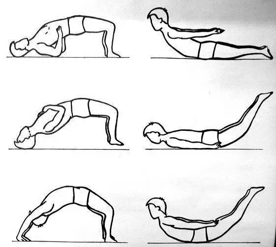 拱桥式(从上到下依次为:五点支撑,三点支撑,四点支撑)与飞燕式锻炼图