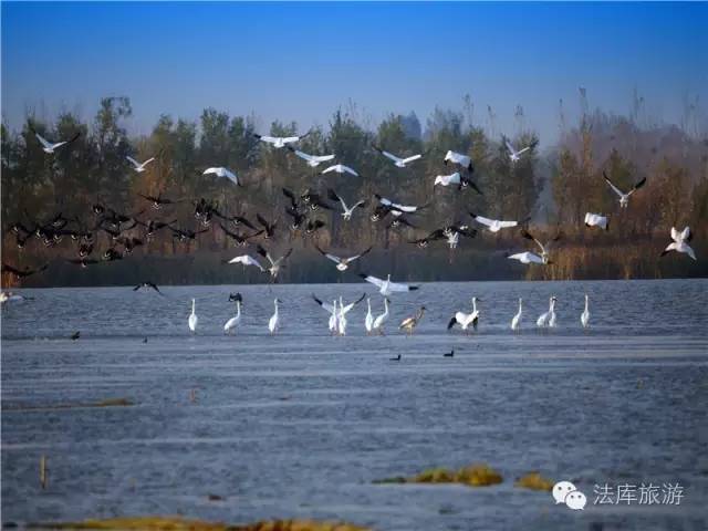 白鹤停歇地"獾子洞国家湿地公园"所在的秀水河子镇