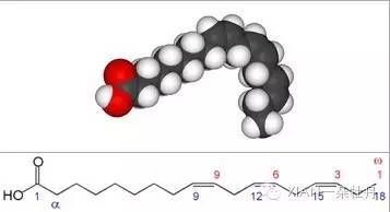 α-亚麻酸