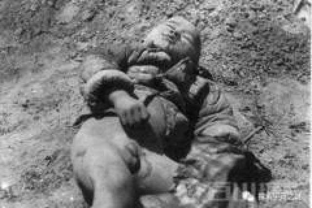1937年日本南京大屠杀死了多少人?图片为证