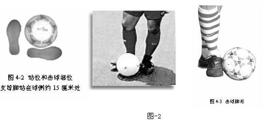 (二)教学重,难点: 踢球时支撑脚的位置,踢球腿的摆动和触球的部位.