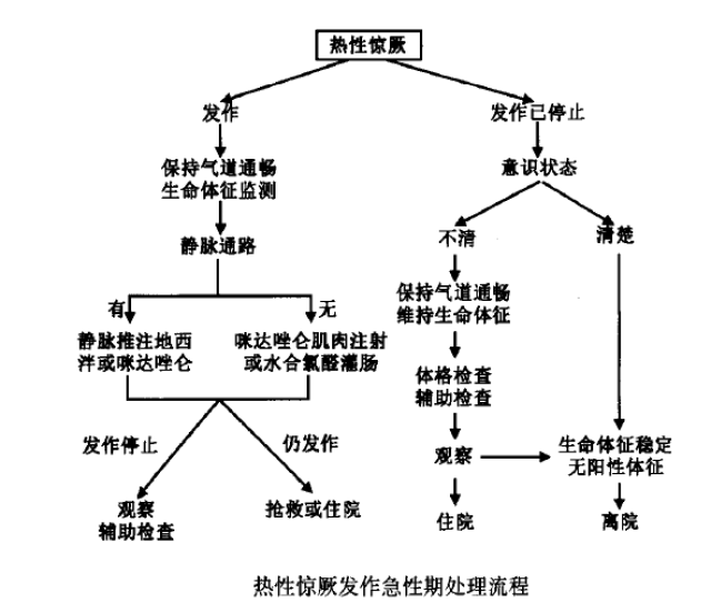 附热性惊厥发作急性期处理流程图