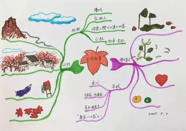 兼班主任李艳红"画"了一张简洁,系统,清晰的思维导图总结本学期知识点