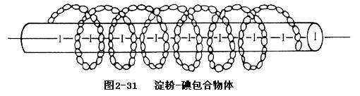 具体来说就是直链淀粉螺旋卷曲,围出了一个"圆筒",而碘分子则填充在