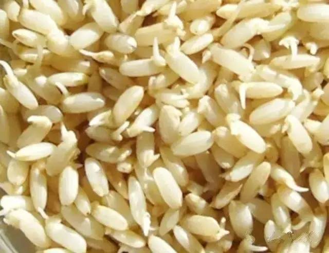 提醒|发芽大米营养真的那么丰富吗?
