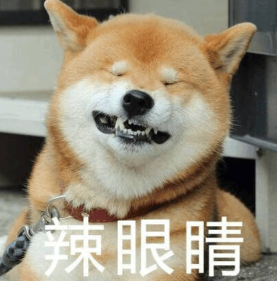 史上最全柴犬表情包合集来啦,约吗?