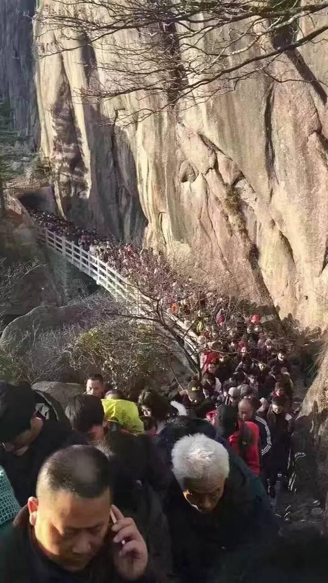 黄山人口分布数据_黄山风景图片