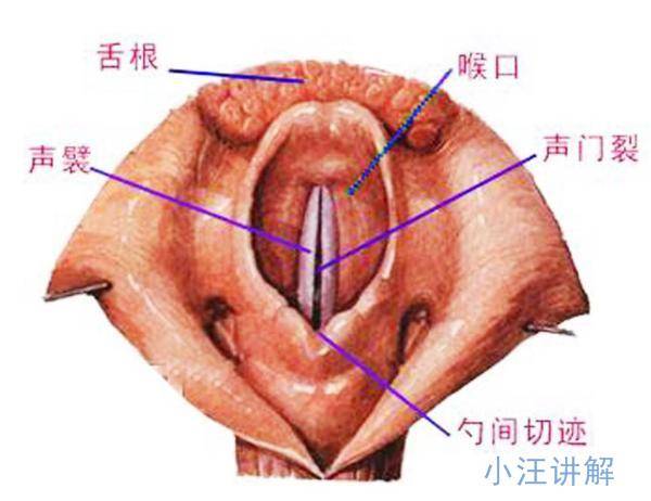 发干,异物感或轻度疼痛,干咳,恶心,咽部充血呈暗红色,咽后壁可见淋巴