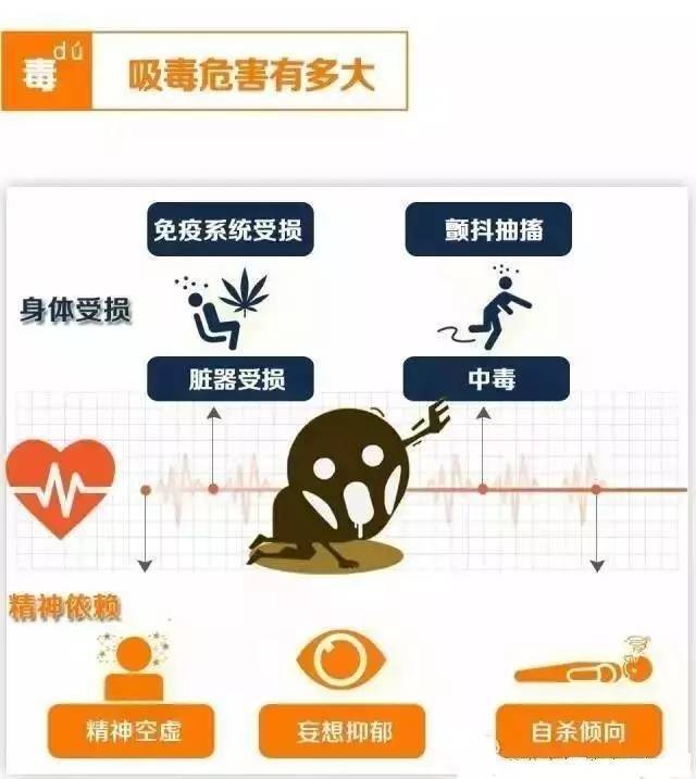 禁毒小百科丨要远离毒品,先认识毒品