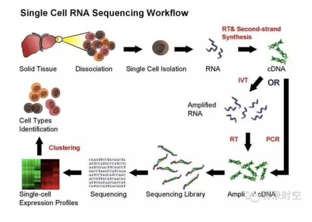 单细胞测序:实验设计和分析方法(一)