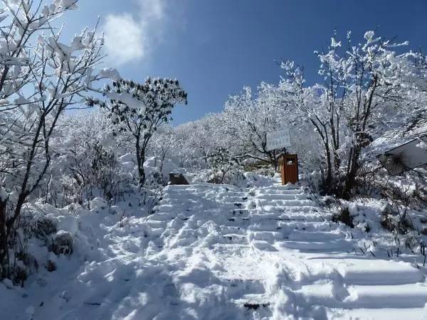 茶坪—千佛山 这个地方知道的人相对较少,但早已开启了雪山模式~ 花