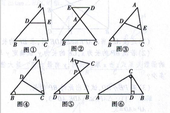 呼和浩特市|相似三角形的判定(重点)及证明步骤