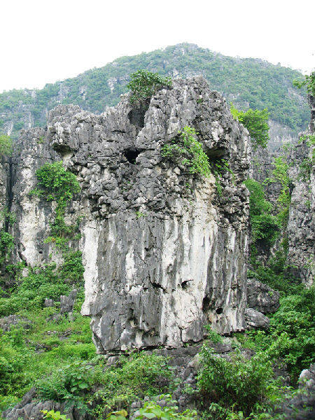 亿年树化石与海平线奇观--马山金钗石林探秘(2)