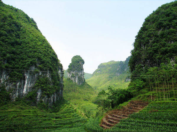 金钗石林又叫"天府石林城堡",位于马山县金钗镇龙塘村天府屯,这里地