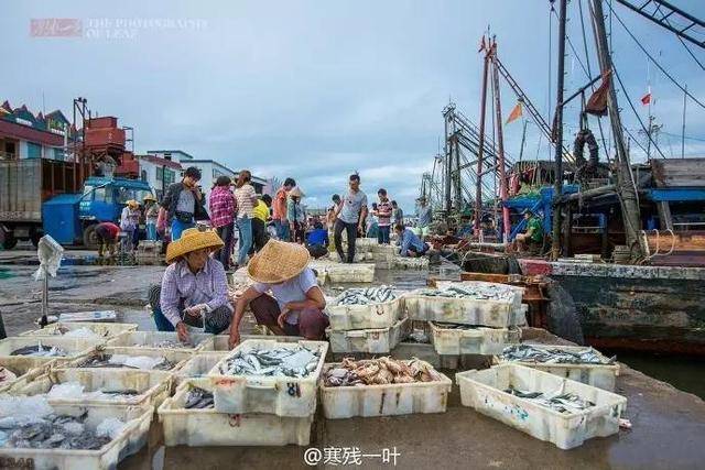 海南文昌清澜港的环球码头 海鲜新鲜而且价格实惠