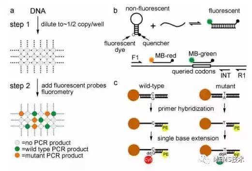 数字pcr 技术进展简介