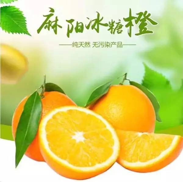 【交广良品】湖南麻阳冰糖橙,年末团购正式开启