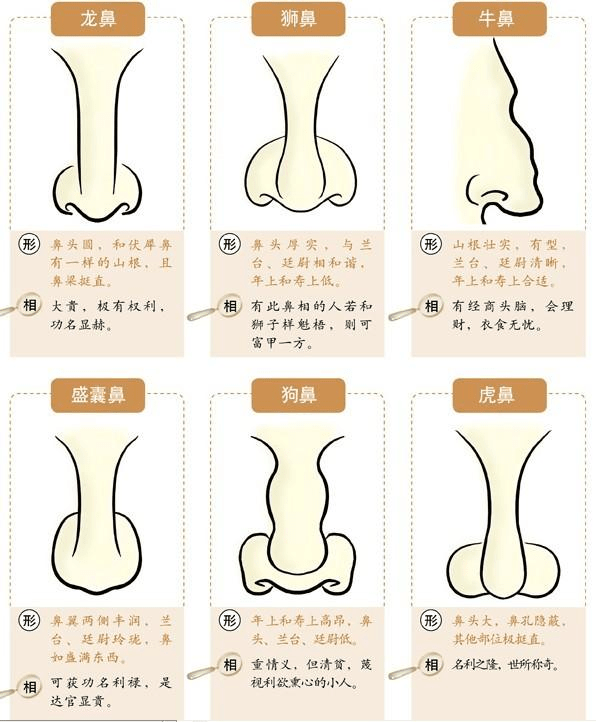 紫微斗数十二宫于面部的分布和运势预测