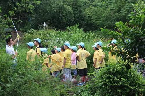 权威公布|教育部等11部门关于推进中小学生研学旅行的意见,如何看?