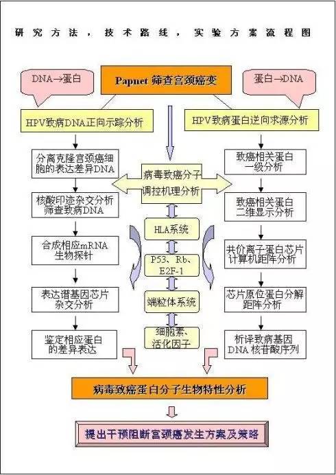 让国自然技术路线图更色一点 (含经典技术路线)