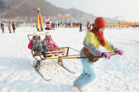 非机动车:(休闲型雪上运动) 深感痛心的雪地狗拉车 费力程度