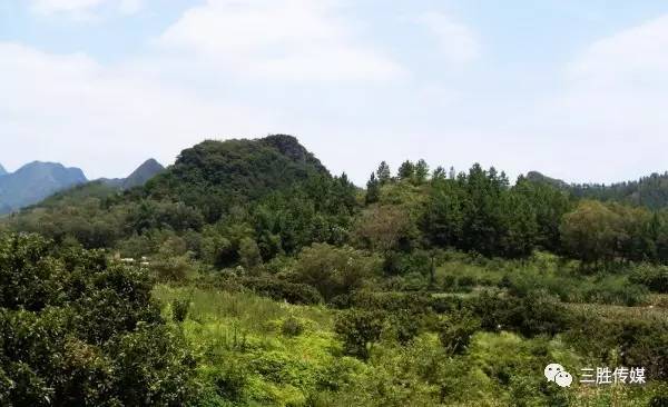 虎母山,位于罗田县骆驼坳镇北偏东两华里,平地突起群山,群山环抱中间