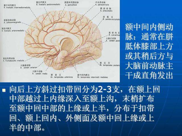 心灵情感火花来源于前额叶皮层