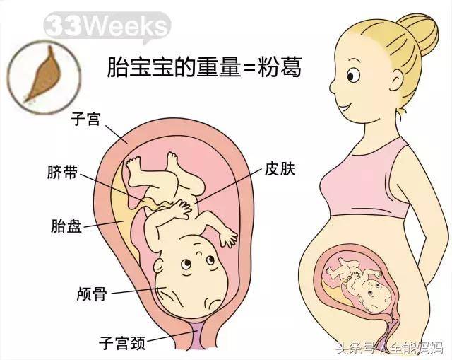 孕期麻麻|孕33周胎儿发育和妈妈变化,接好孕!