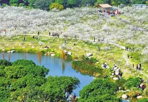 史上最强整理!102个广州最好玩的景点,够你玩一辈子