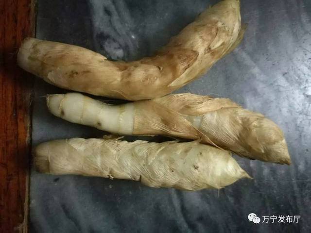 【万城风物】"番黑"