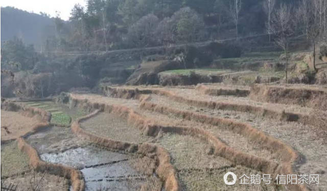 关山月古琴弹唱曲谱