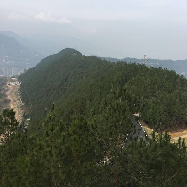 登巴中王望山者,越望千里