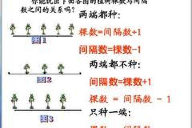 应用题思维导图专讲2: 外星人帮解植树问题