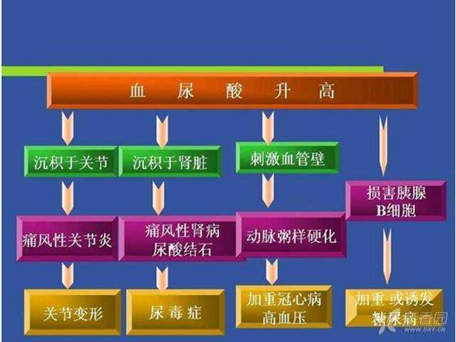 高尿酸血症的危害及后患