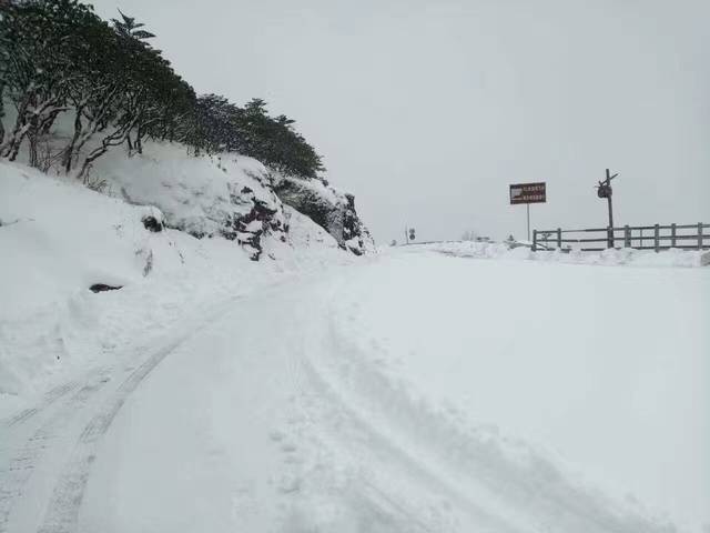 昆明轿子雪山今天下了今年最大的一场雪