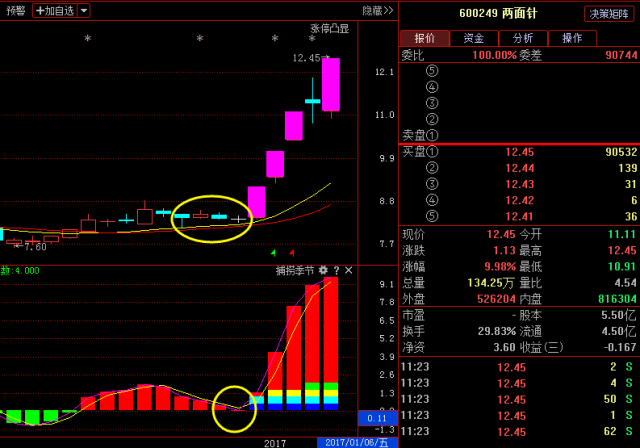【领航股市实战案例回顾】 元旦前领航股市教大家选的 两面针,元旦