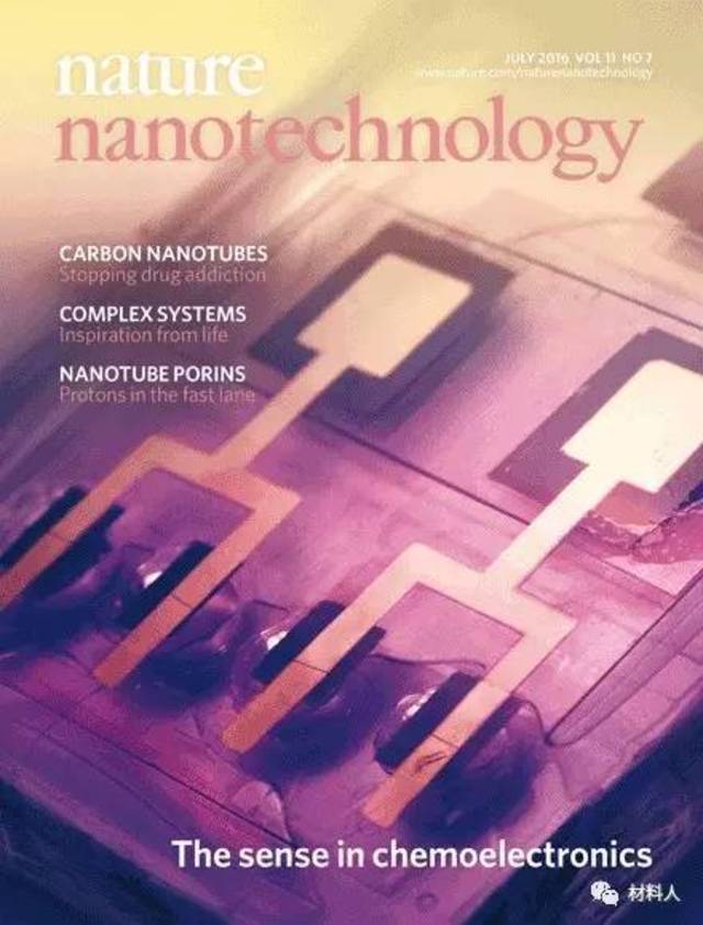 2016年nature nanotechnology封面重大科研成果