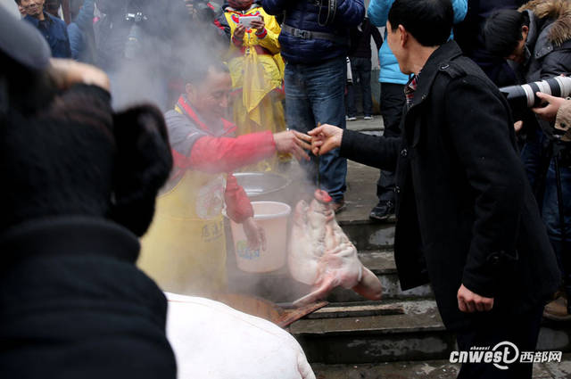 祭祀后割下猪头.