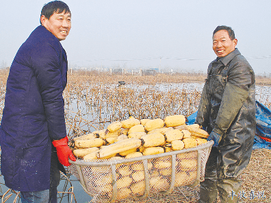 茶庵乡常住人口_常住人口登记表(2)