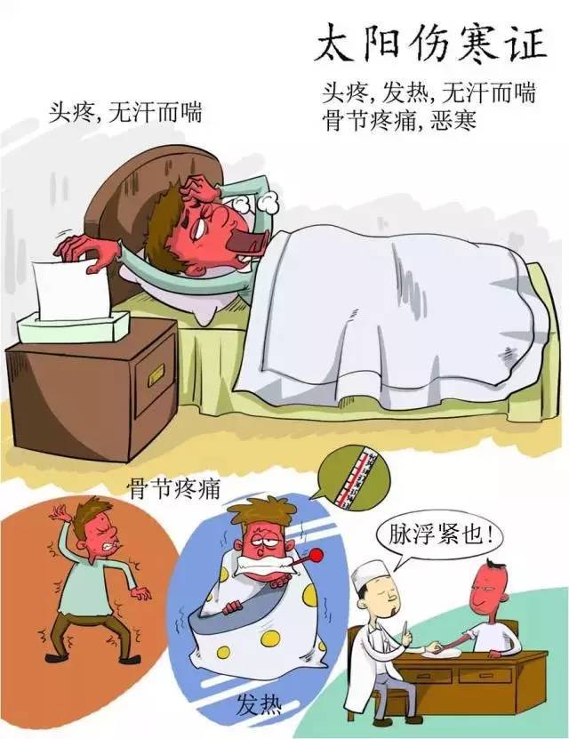 【图说】漫画之伤寒论