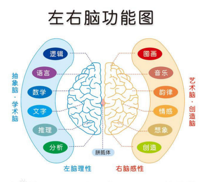 脑鲁国面积人口_色彩面积对比(2)