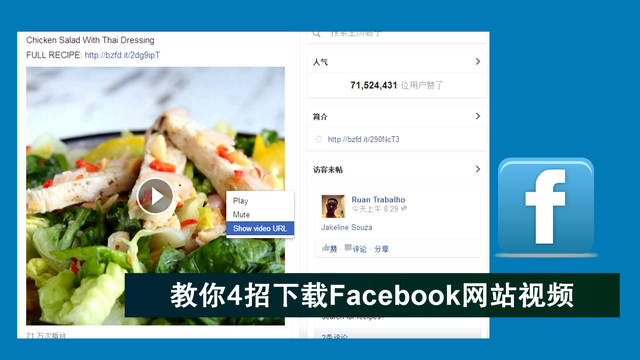 教你4招下载facebook网站视频