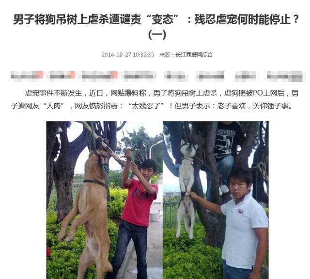 致虐猫剥皮事件女主角你的道歉换不回一条生命