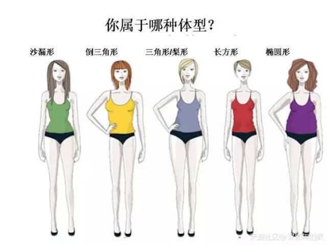 女性身材大概可以分为这五种