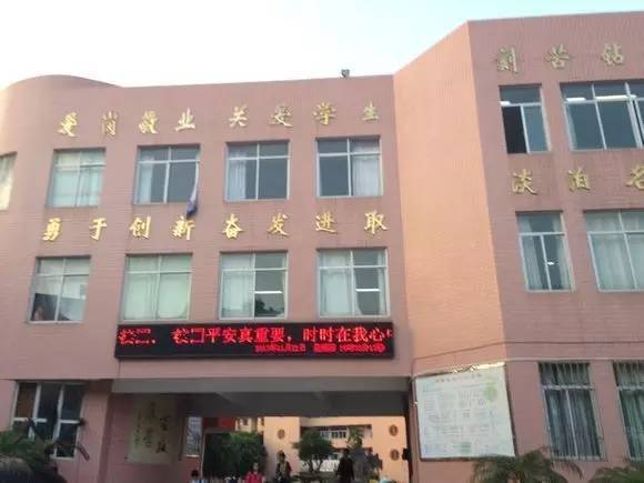 长乐三所小学荣获省级荣誉你的母校上榜了吗