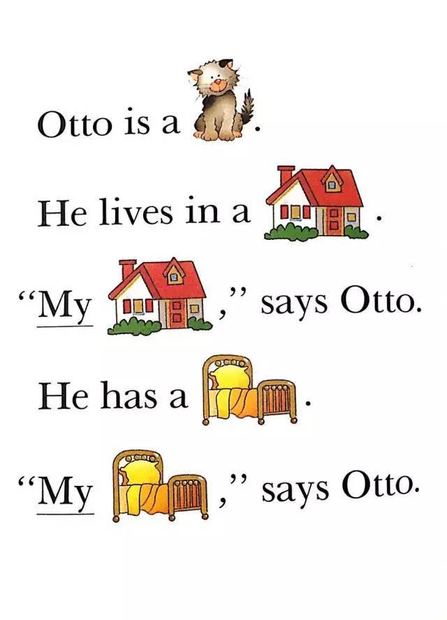 otto the cat