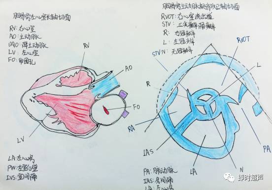 这些心脏彩超图,大写的牛!