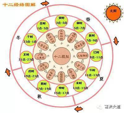 {葛洪大道}  黄帝内经>十二经络图