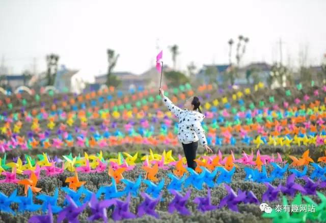 今年过年,带家人来看风车展吧,转动风车,转动福运!