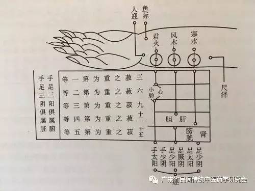 如果以三粒黄豆的重量诊的脉为肺的沉脉.